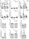 TNF-α has minimal effects on type I collagen synthesis in 3D tendon–like co
