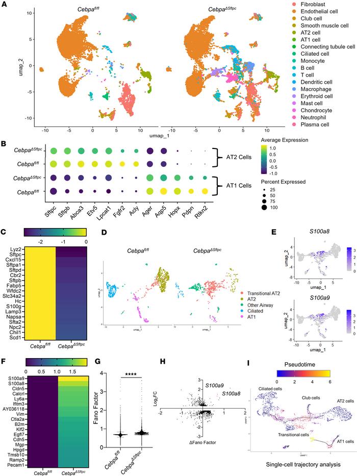 Single-cell transcriptome analysis reveals disrupted epithelial homeosta...