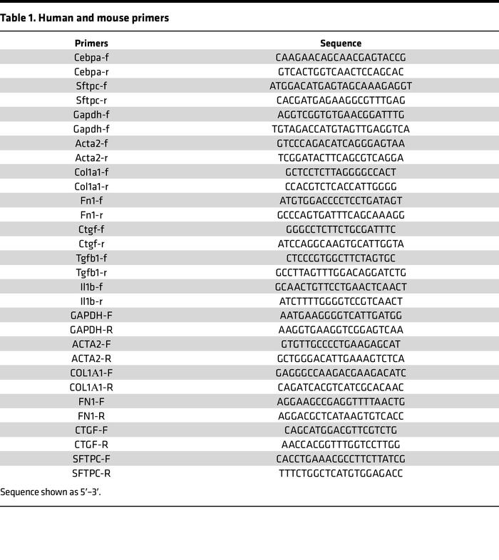 Human and mouse primers