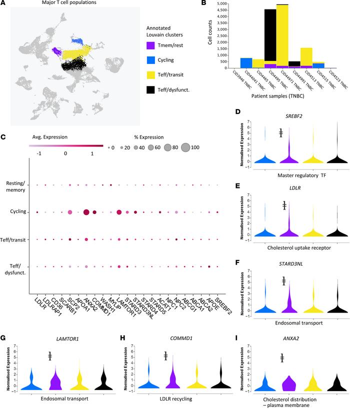Cycling T cell populations in patients with TNBC upregulate genes relate...