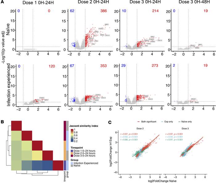 Increased level of differential gene expression in infection-experienced...