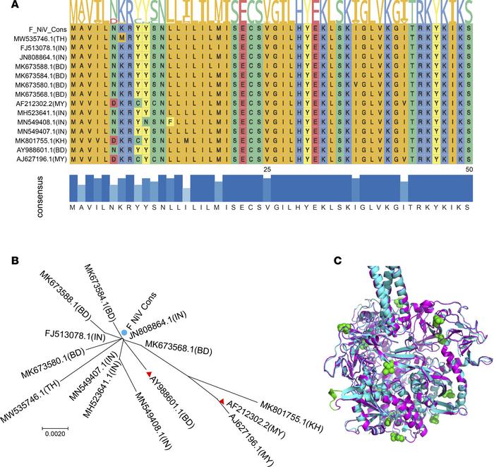 The bioinformatic characteristics of the consensus sequence of the F pro...