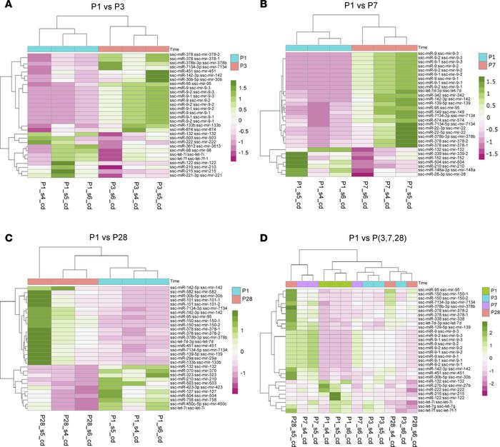 Differentially expressed miRNAs in neonatal pig hearts and functional en...