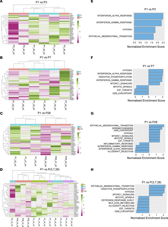 Differentially expressed mRNAs in neonatal pig hearts and functional enr...