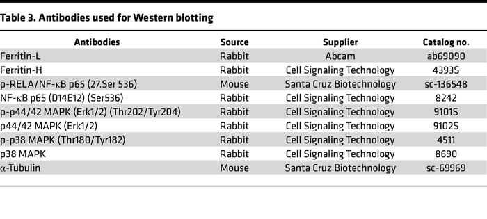 Antibodies used for Western blotting