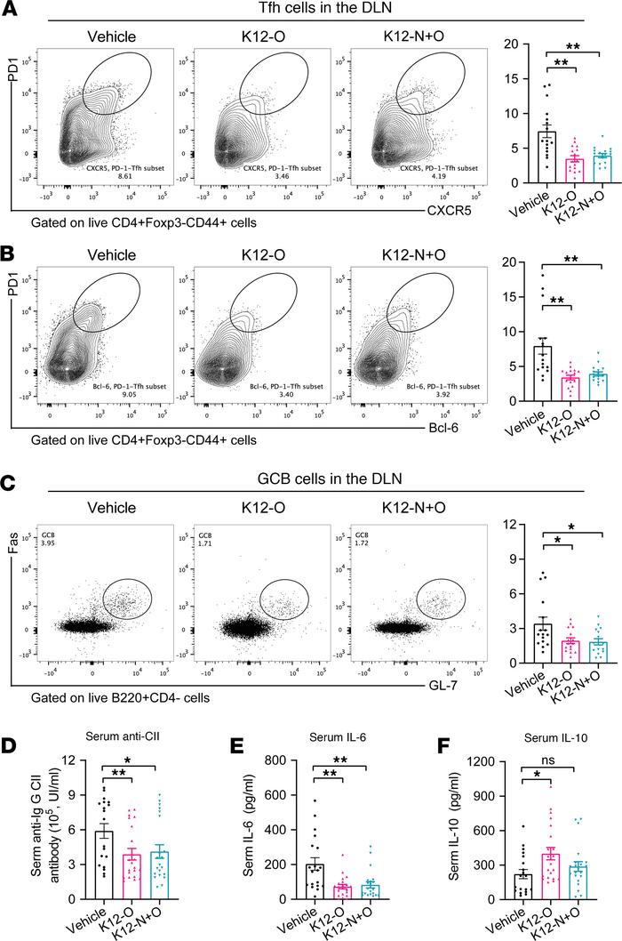 
S. salivarius suppressed immune responses in experimental arthritis.
(A...