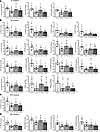 Oxylipin concentrations in brain PL of 15-month-old WT or TgF344-AD (Tg) fe
