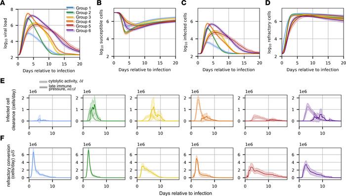 Mechanistic differences between dynamic groups.
(A–D) The mean viral loa...