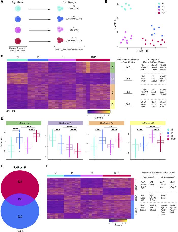 Postpartum memory and naive OVA-specific TFGS acquire distinct and share...