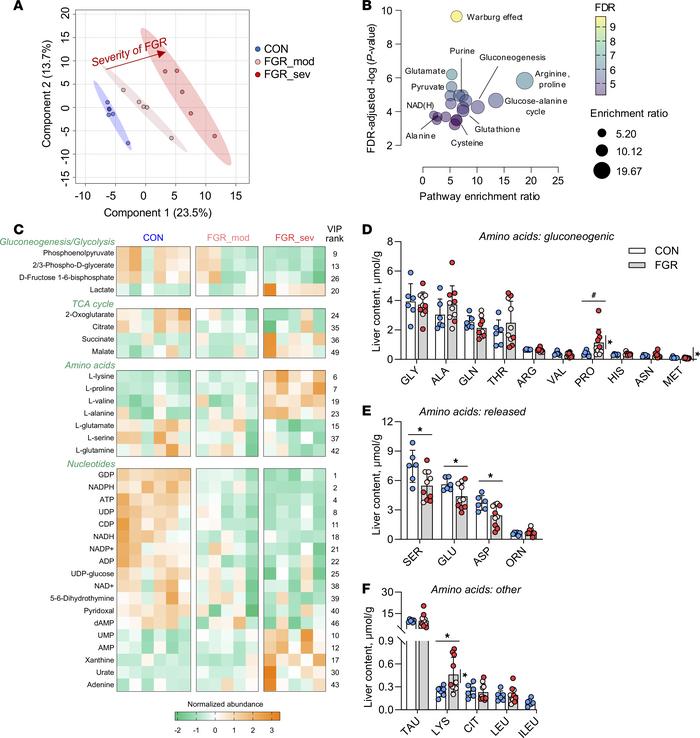 Hepatic tissue metabolites and amino acids.
Targeted metabolomic profili...