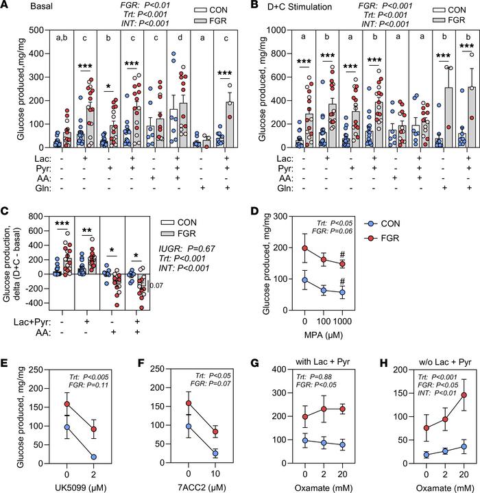 Glucose production in isolated fetal hepatocytes.
Glucose production mea...
