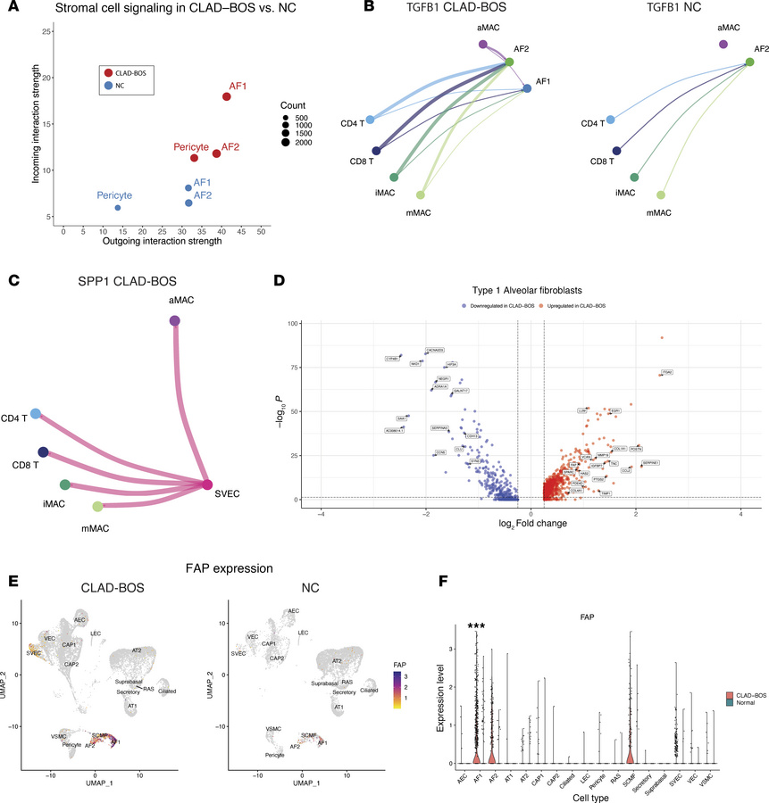 CLAD-BOS is enriched for pro- and antifibrotic genes and intercellular s...