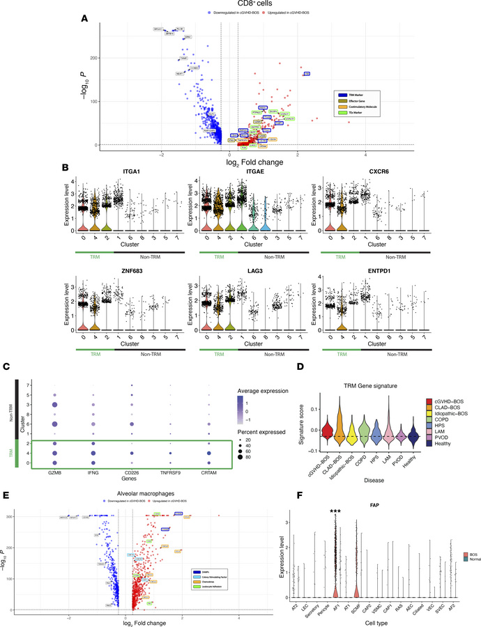 The chronic graft versus host disease BOS (cGVHD-BOS) transcriptome shar...