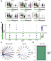 TRM express inhibitory receptor, effector function protein, and costimulato