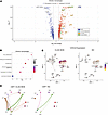 CLAD-BOS is enriched for genes, pathways, and cell-cell interactions promot