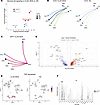 CLAD-BOS is enriched for pro- and antifibrotic genes and intercellular sign