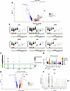 The chronic graft versus host disease BOS (cGVHD-BOS) transcriptome shares