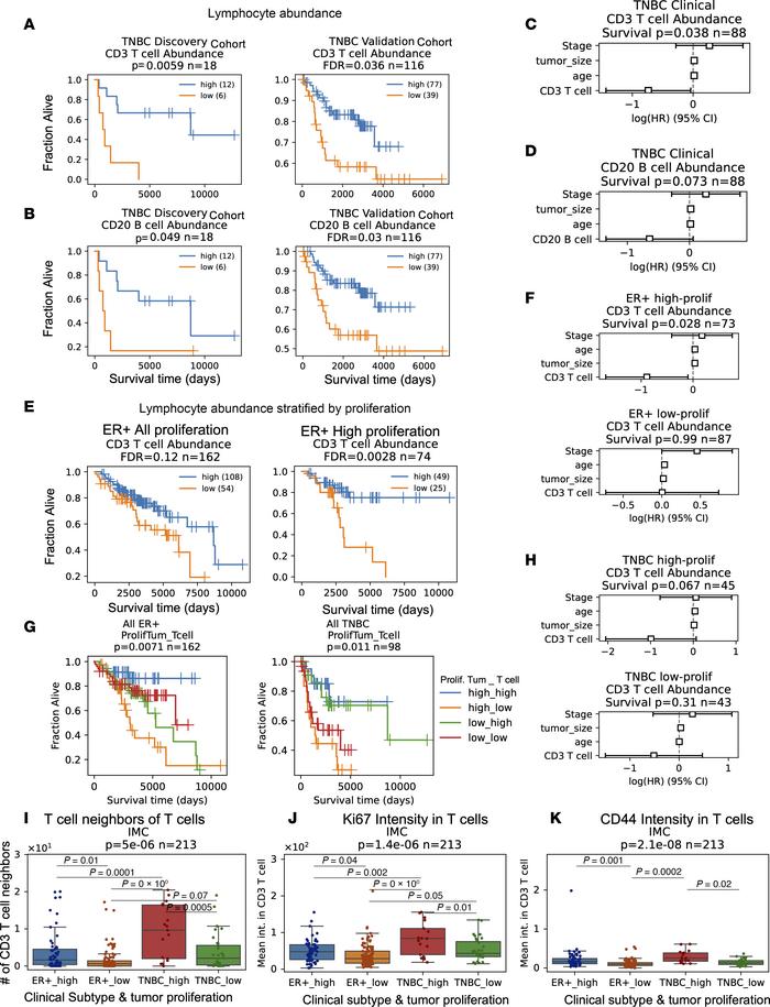 T cell infiltrate has prognostic value and distinct states in TN and hig...