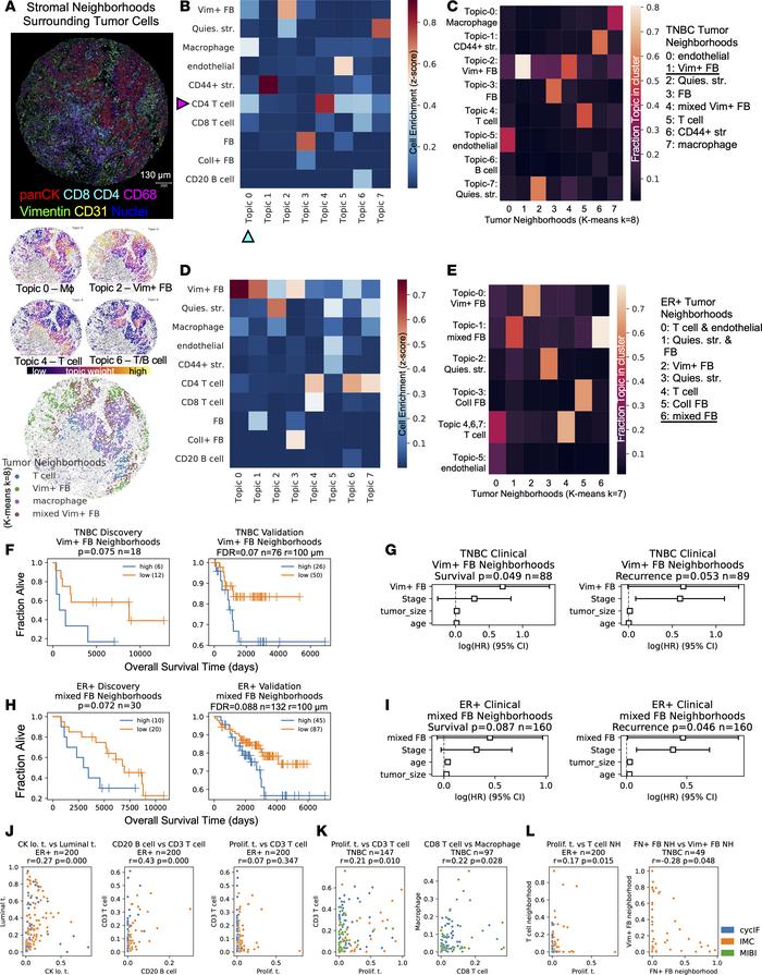 Prognostic multicellular neighborhoods surrounding tumor cells modeled w...
