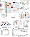 Prognostic ER+ breast cancer subtypes in multiplatform multiplex imaging da
