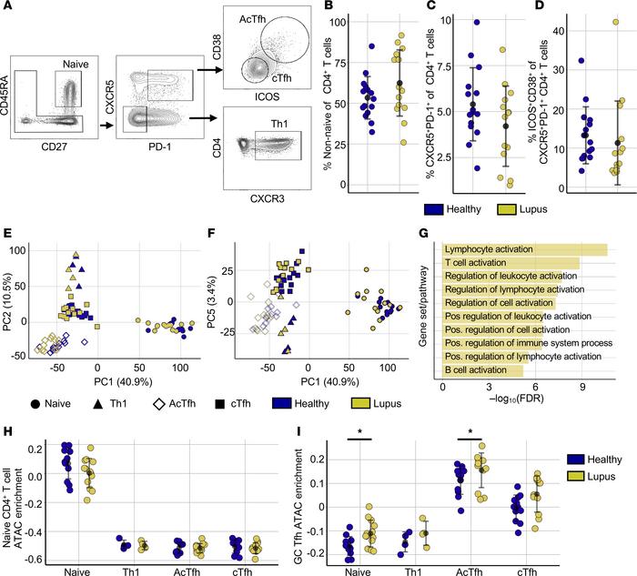 Lupus Th cells retain open chromatin features that define T cell subsets...