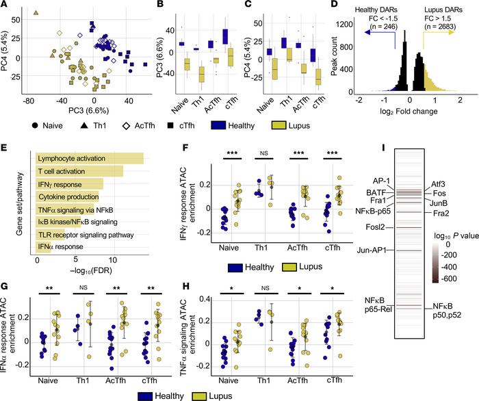 The lupus epigenome is characterized by enhanced chromatin accessibility...