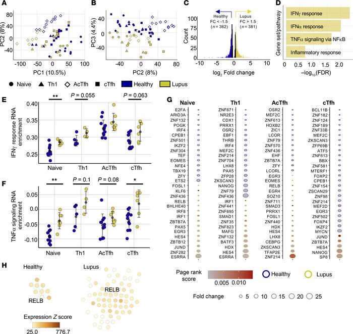 Transcriptional and chromatin accessibility data highlight cytokine-driv...
