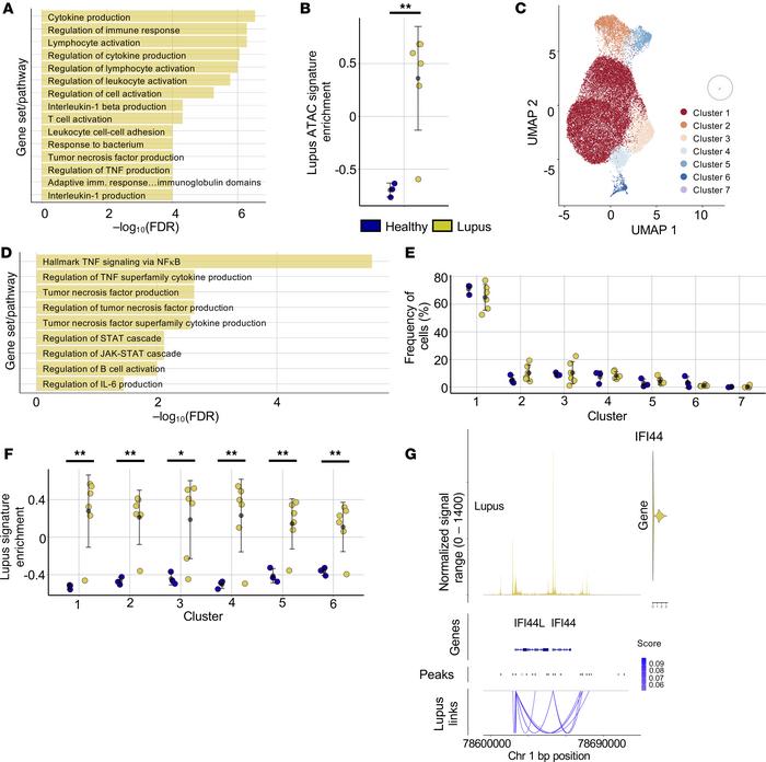Single-cell multiome analysis of naive Th cells demonstrates ubiquitous ...