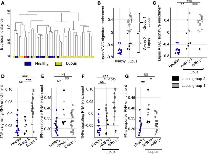 ARB prescription is associated with epigenetic and transcriptional chang...