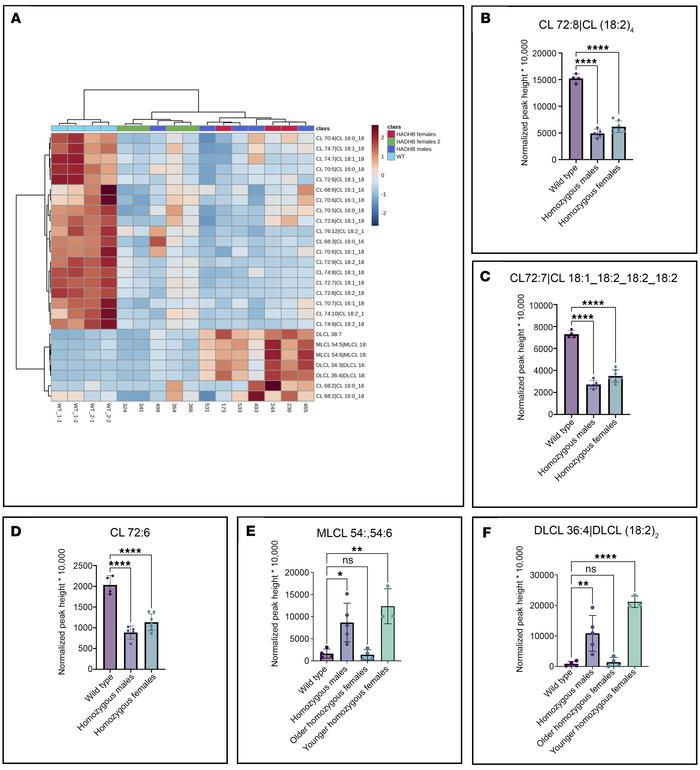 Ultrahigh-performance liquid chromatography (UHPLC) (BEH C18)–quadrupole...