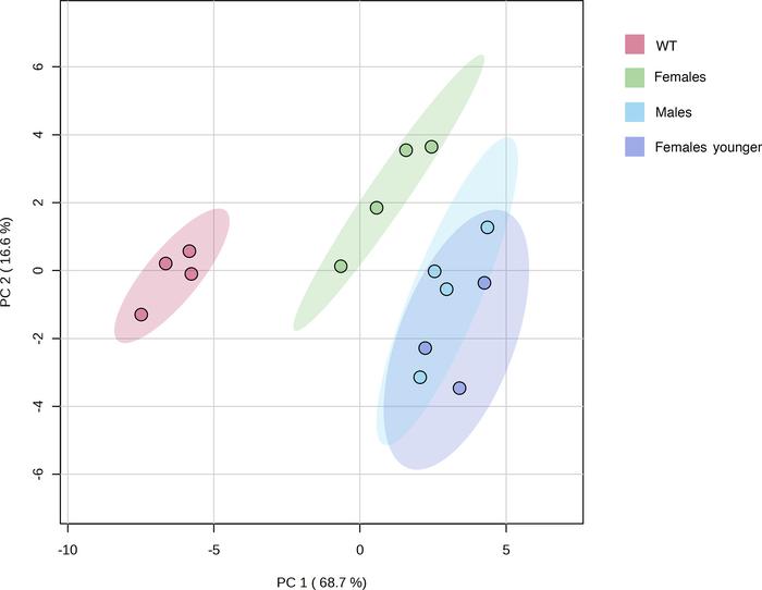 PCA model of the cardiolipidomes (cardiolipins, monolysocardiolipins, an...
