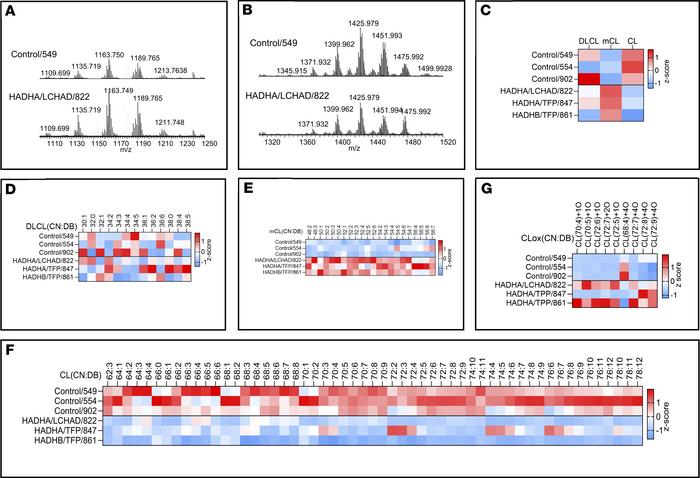 LC-MS/MS assessment of cardiolipins (CL), monolysocardiolipins (mCL), ox...