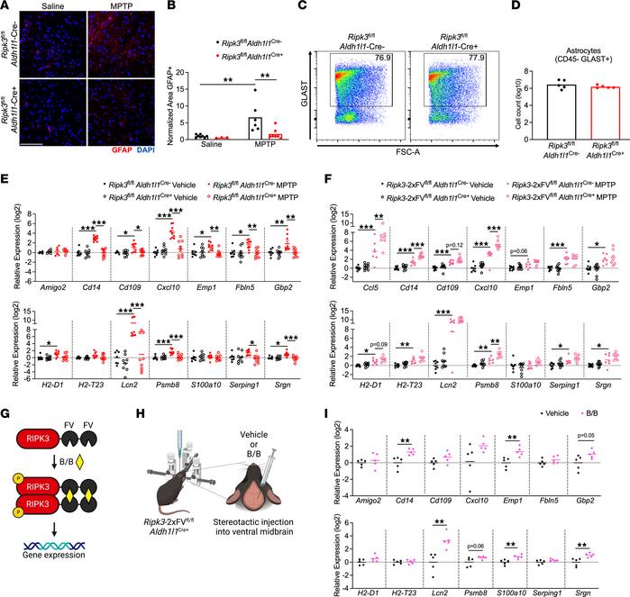 RIPK3 drives inflammatory transcriptional activation but not proliferati...