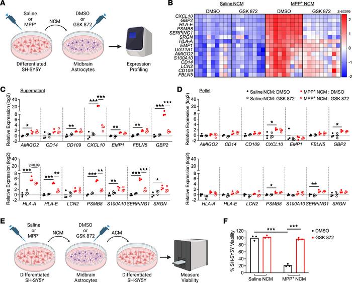 Secreted factors from dying neurons drive RIPK3-dependent astrocyte acti...