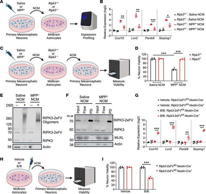 RIPK3 activation is sufficient to induce astrocyte-mediated killing of p...
