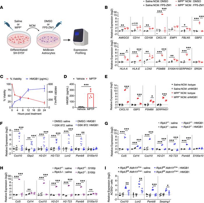 DAMP signaling via RAGE drives inflammatory activation in midbrain astro...