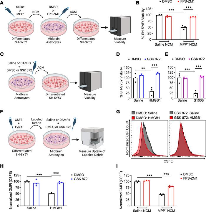Activation of RIPK3 by DAMP signaling drives pathogenic functional chang...