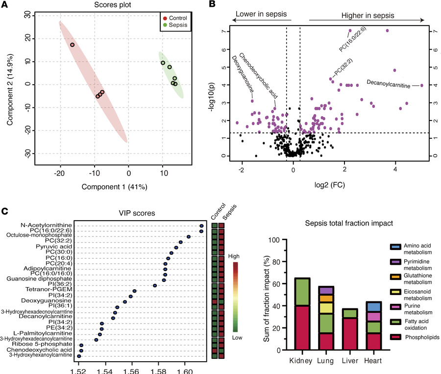 Kidney metabolomic changes are increased compared with other organs afte...