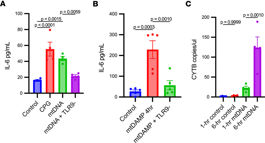 CpG in vitro in DCs and kidney mtDAMP in vivo contributes to IL-6 releas...