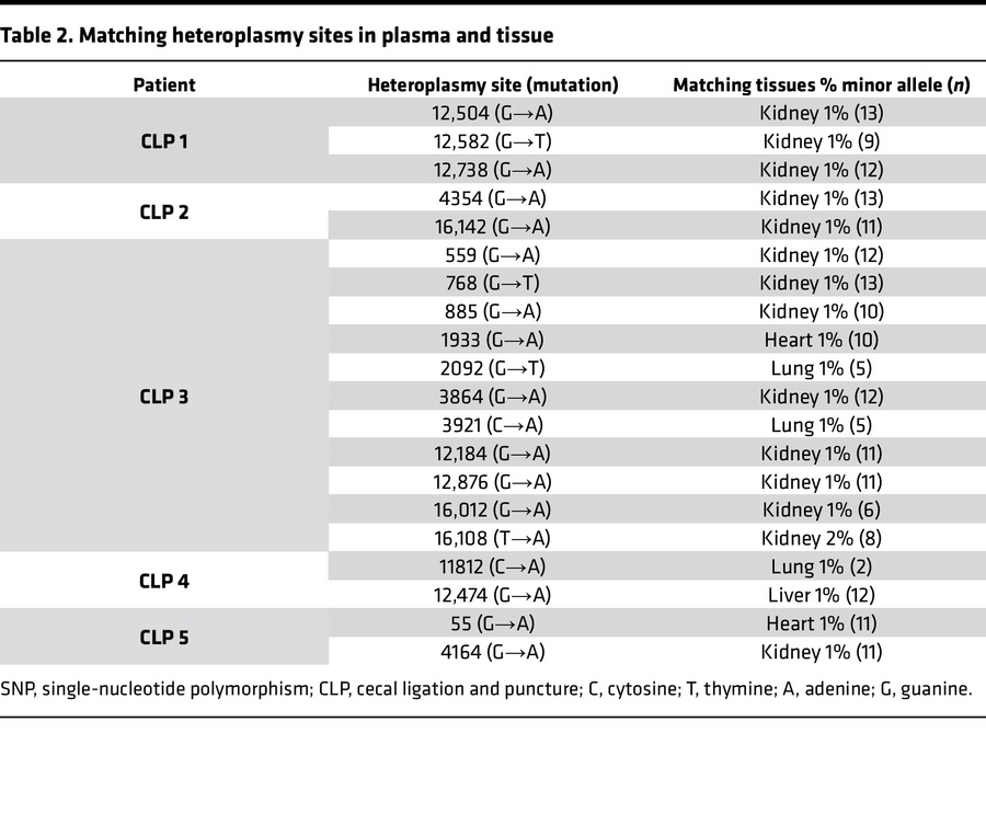 Matching heteroplasmy sites in plasma and tissue
