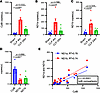 Circulating cell-free mtDNA is increased in mice after cecal ligation and p