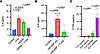 CpG in vitro in DCs and kidney mtDAMP in vivo contributes to IL-6 release.