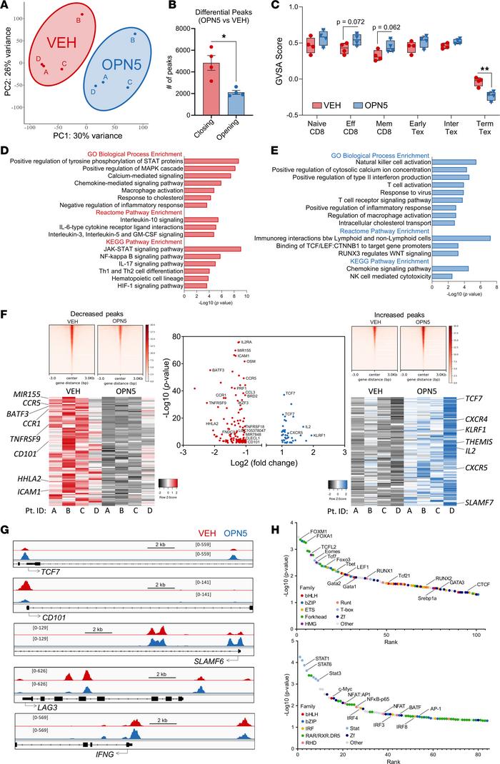 CD8+ T cell exhaustion–associated chromatin organization is altered with...