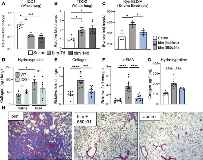 Inhibition of TDO2 rescues blm-induced fibrosis, but loss of IDO1 does n...