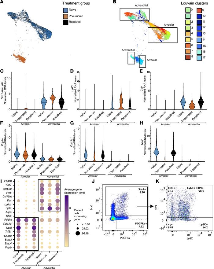 Fibroblasts are heterogeneous in the resting lung but ultimately group i...