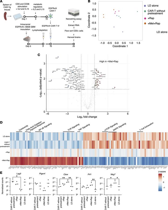 Tumor-infiltrating T cells exhibit enhanced cytotoxic phenotype and lowe...