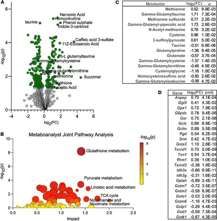 Joint pathway analysis identifies glutathione metabolism as highly affec...