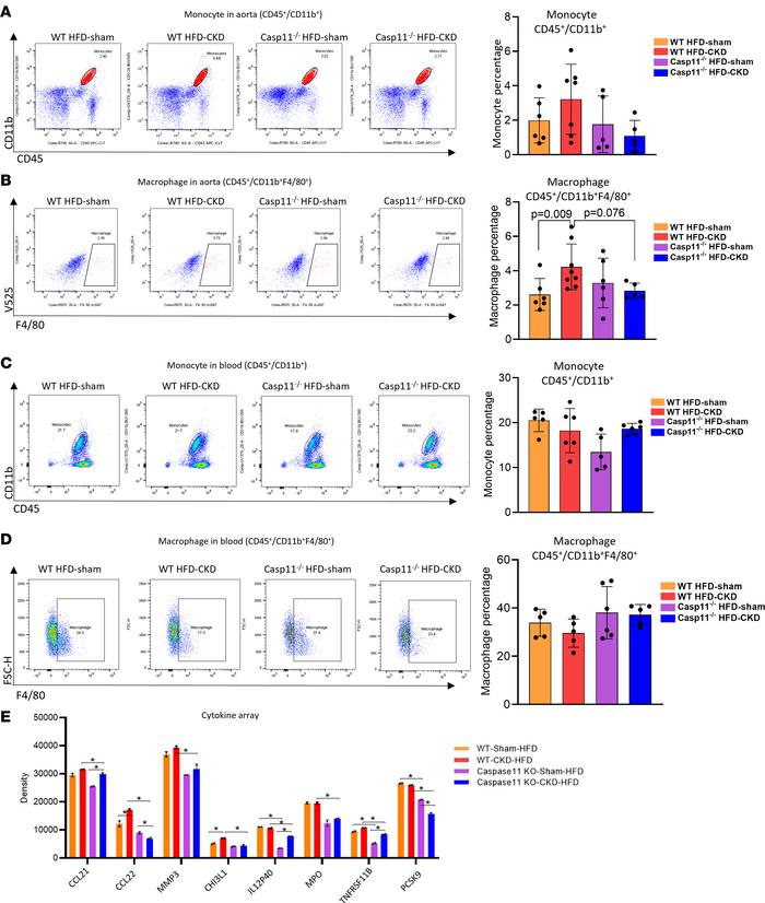 Caspase-11 deficiency inhibits inflammatory cell infiltration into the a...