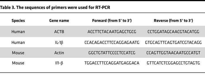 The sequences of primers were used for RT-PCR