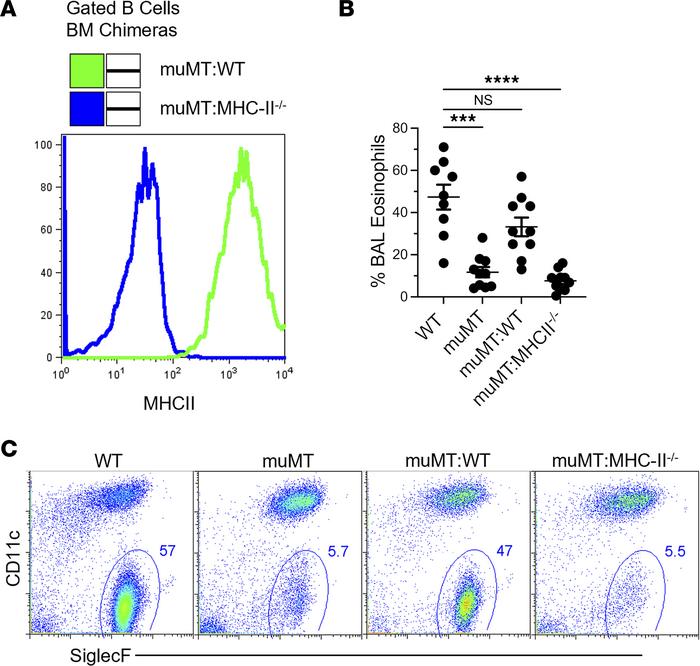MHCII-expressing B cells are required for the development of DAMP-induce...